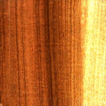 Madera Nopo
